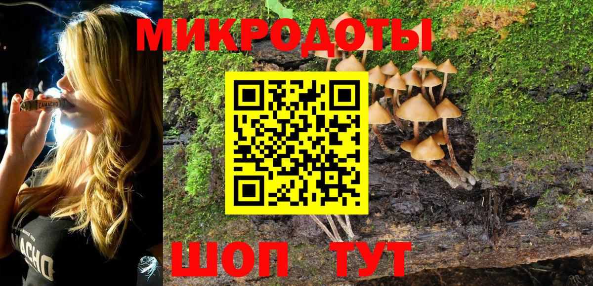 Галлюциногенные грибы мухоморы  Вход с VPN  Кандалакша 